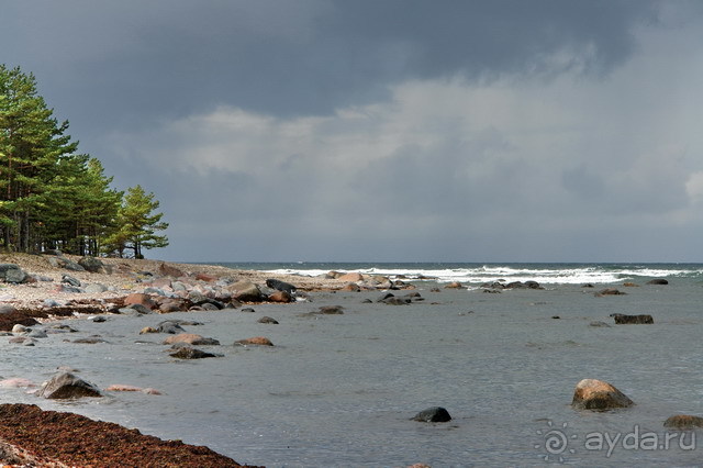 фото Сааремаа