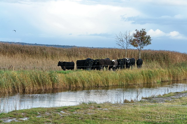 Остров Хийумаа на автомобиле