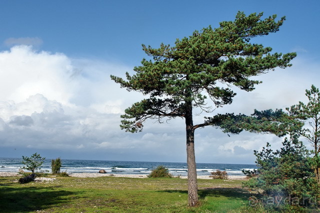 Остров Хийумаа на автомобиле