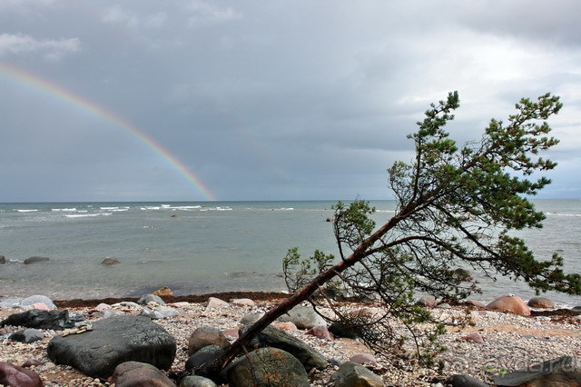 фото Сааремаа