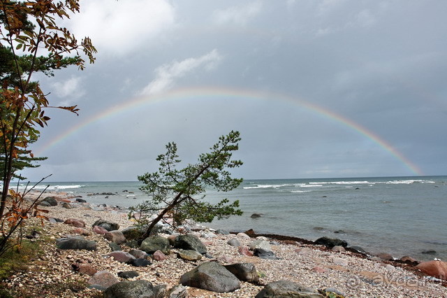 фото Сааремаа