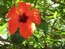 Замечательный отдых в уютном семейном отеле.