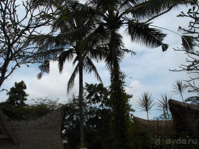 фото Hyatt Regency Almaty