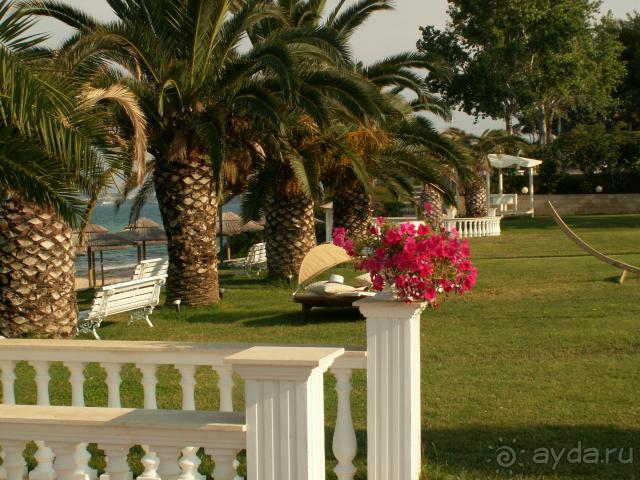 Делюсь впечатлениями