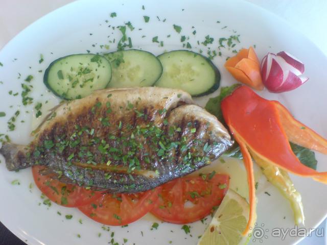 Делюсь впечатлениями