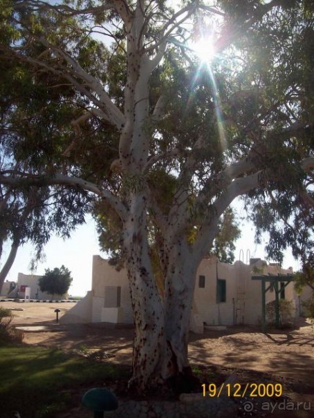 фото Nar Apart Hotel