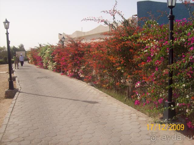 фото Nar Apart Hotel