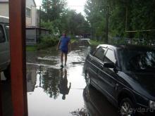 фото Соловей