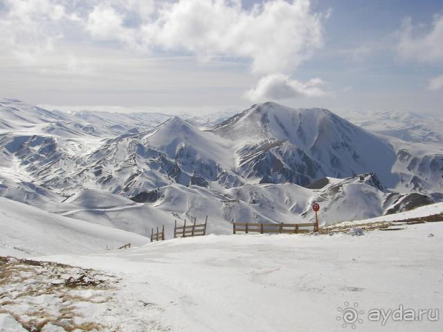 фото Mare Pineta