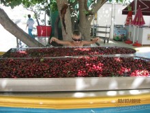 Хороший отдых в Daima biz resort.