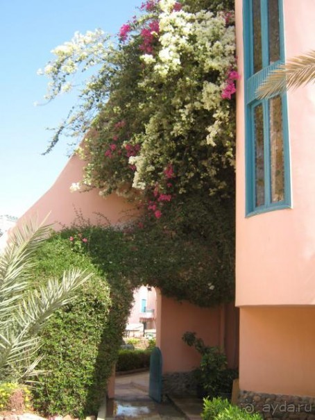 фото Zahabia Hotel & Beach Resort