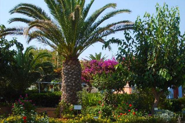 Отдых на Кипре в Rithymna Beach с семьей