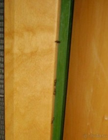 Naturland Club In Ecopark / Aqua Resort Hotel (ex. Vera Aqua