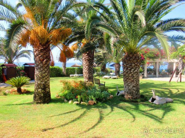 фото Alion Beach