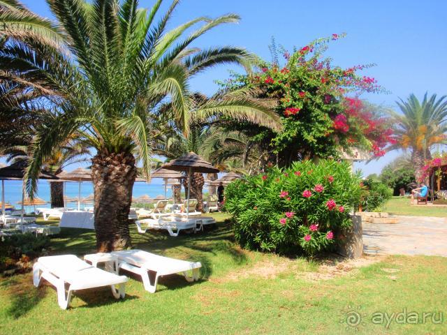 фото Alion Beach