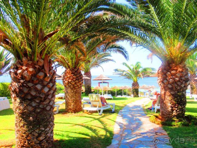 фото Alion Beach