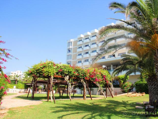 фото Alion Beach