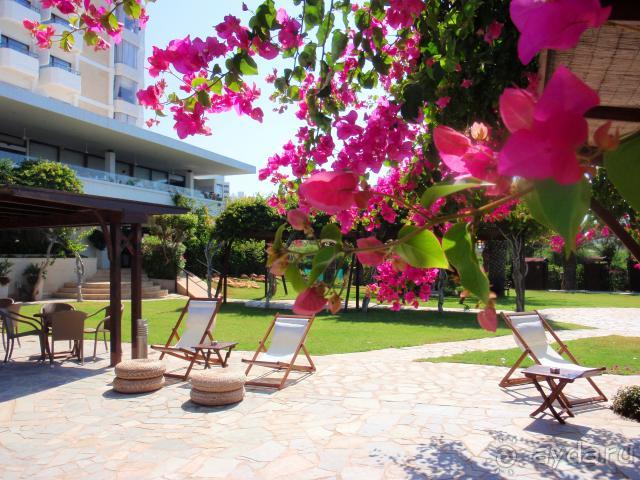 фото Alion Beach