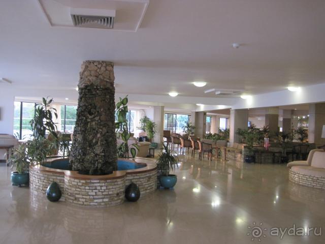 фото Dessole Malia Beach