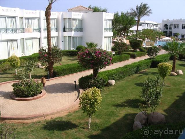 Тихо, мирно...и сытно :)