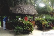 Такой симпатичный барчик