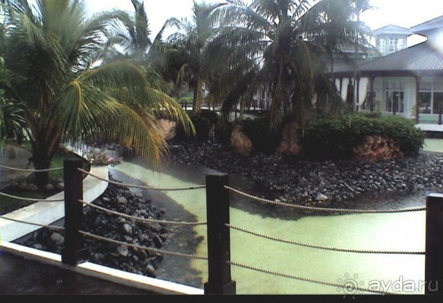 Каналы и мотики