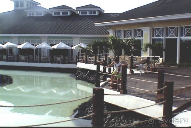 По вечерам здесь очень мелодично квакают маленькие          лягушки