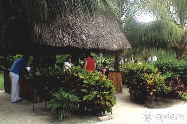 Симпатичный бар рядом с пляжем(Варадеро)