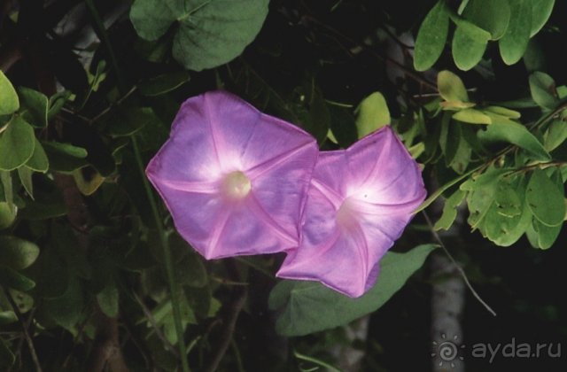 Не зря потраченное время и деньги.