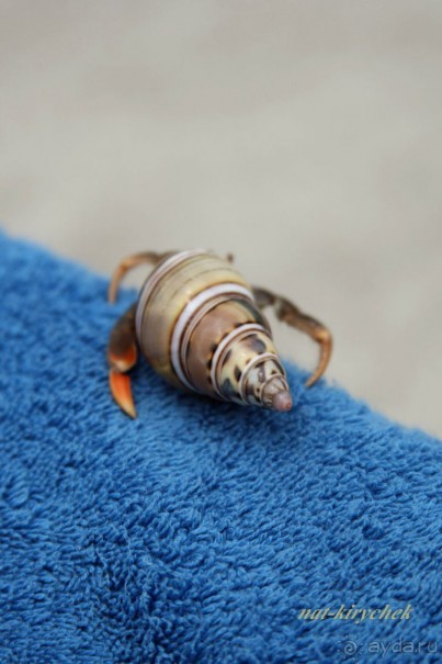 Больше плюсов,чем минусов!