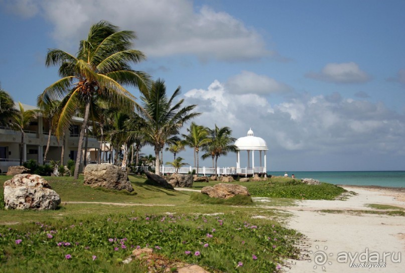 Больше плюсов,чем минусов!