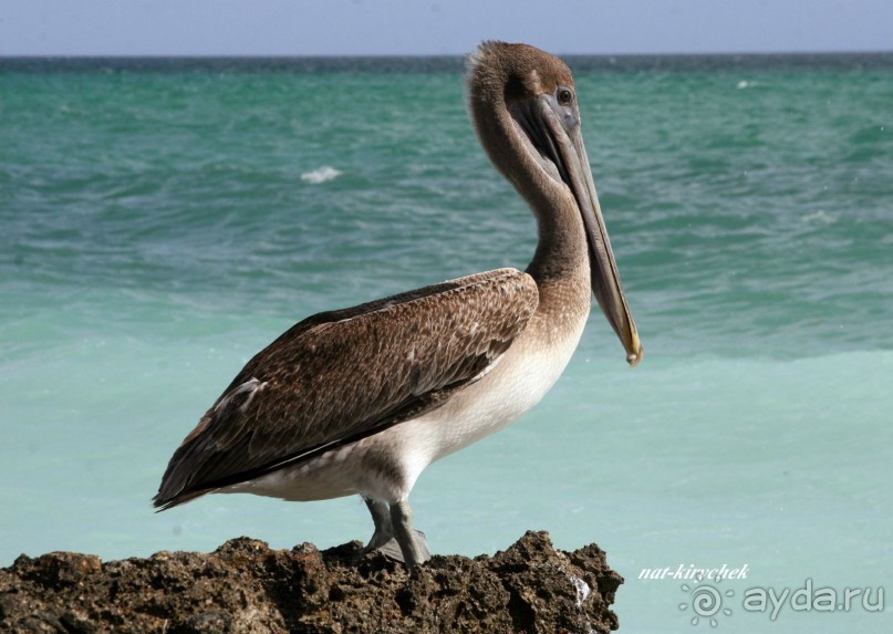 Больше плюсов,чем минусов!