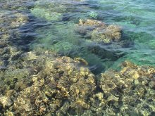 фото Sheraton Soma Bay