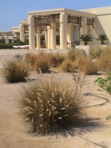 фото Sheraton Soma Bay