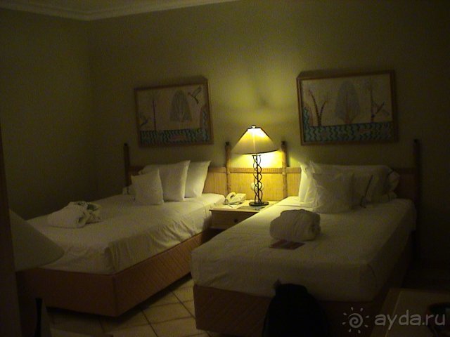 Наш второй номер