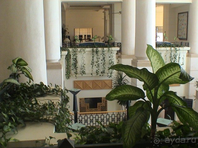 И это все о нем...О Шератоне,конечно!