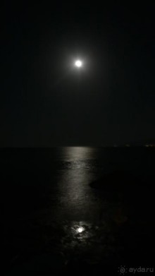 вид на море ночью