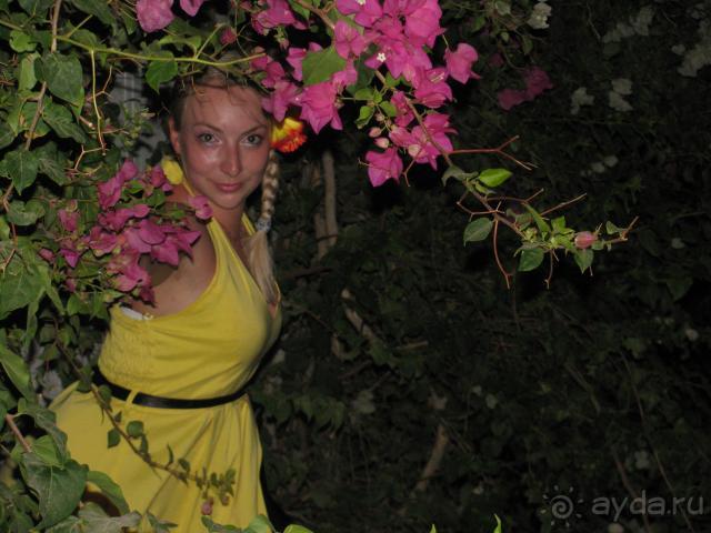 фото Marlin Inn Azur Resort 