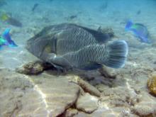 Нормальный отдых для семьи