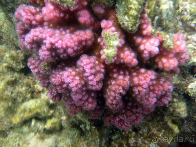 Нормальный отдых для семьи