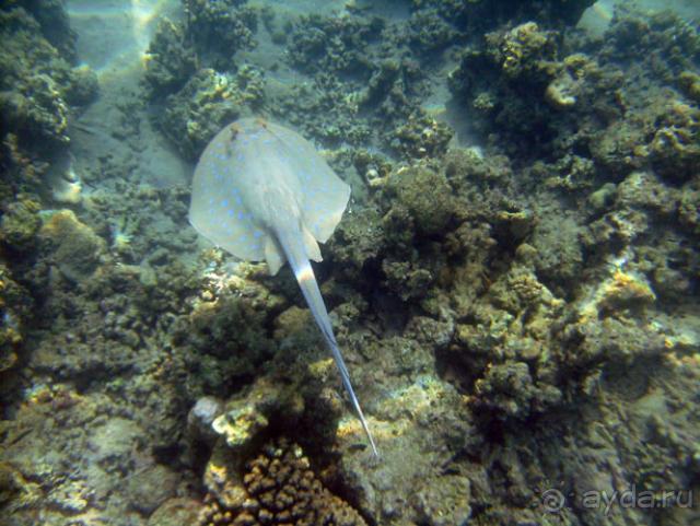 Нормальный отдых для семьи