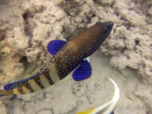 Нормальный отдых для семьи