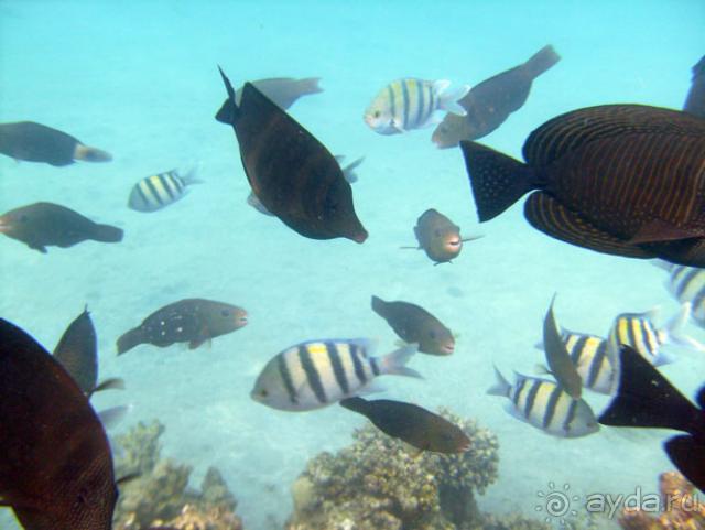 Нормальный отдых для семьи