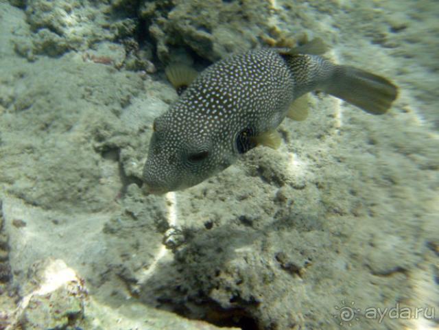 Нормальный отдых для семьи