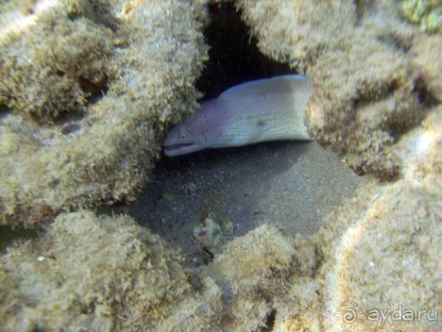 Нормальный отдых для семьи