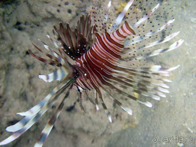 Нормальный отдых для семьи