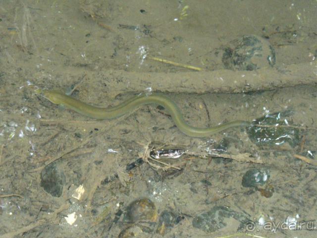 фото Lykia Botanika Beach & Fun Club