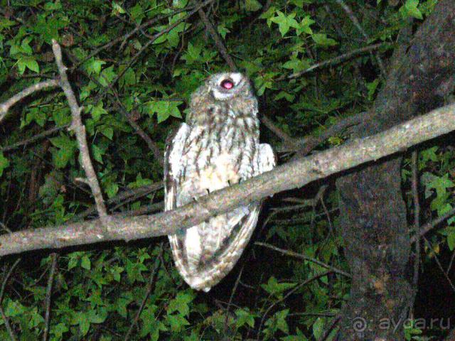 фото Lykia Botanika Beach & Fun Club