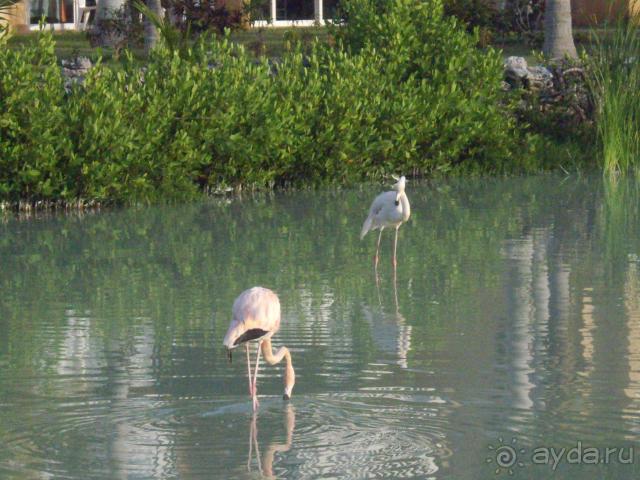 Отличный отель