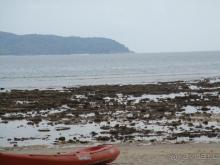 это просто развод